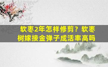 软枣2年怎样修剪？软枣树嫁接金弹子成活率高吗