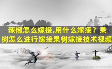 辣椒怎么嫁接,用什么嫁接？果树怎么进行嫁接果树嫁接技术视频