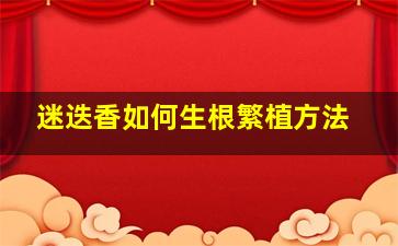 迷迭香如何生根繁植方法