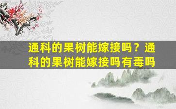 通科的果树能嫁接吗？通科的果树能嫁接吗有毒吗