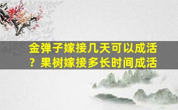 金弹子嫁接几天可以成活？果树嫁接多长时间成活