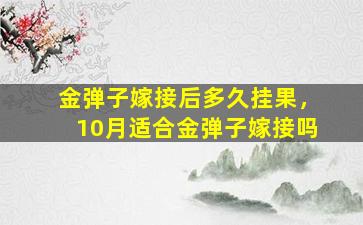 金弹子嫁接后多久挂果，10月适合金弹子嫁接吗