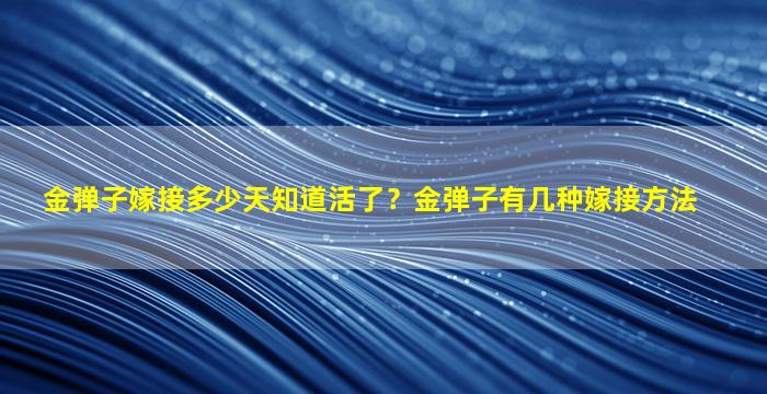 金弹子嫁接多少天知道活了？金弹子有几种嫁接方法