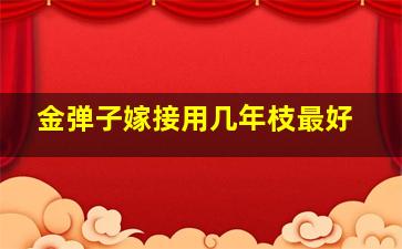 金弹子嫁接用几年枝最好