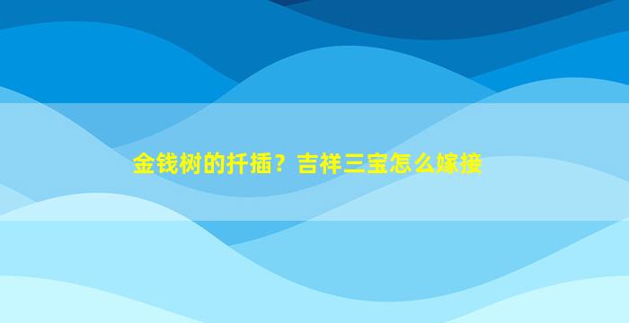 金钱树的扦插？吉祥三宝怎么嫁接