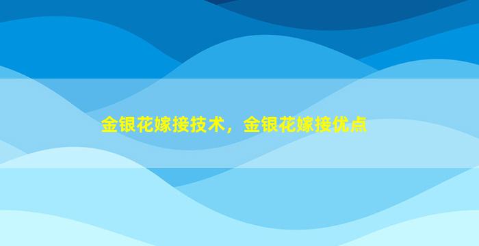 金银花嫁接技术，金银花嫁接优点