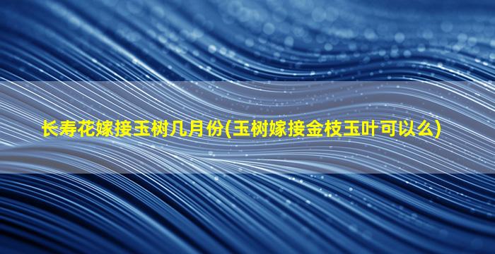 长寿花嫁接玉树几月份(玉树嫁接金枝玉叶可以么)