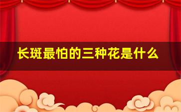 长斑最怕的三种花是什么