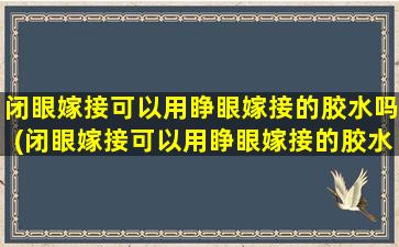 闭眼嫁接可以用睁眼嫁接的胶水吗(闭眼嫁接可以用睁眼嫁接的胶水吗为什么)