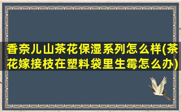 香奈儿山茶花保湿系列怎么样(茶花嫁接枝在塑料袋里生霉怎么办)