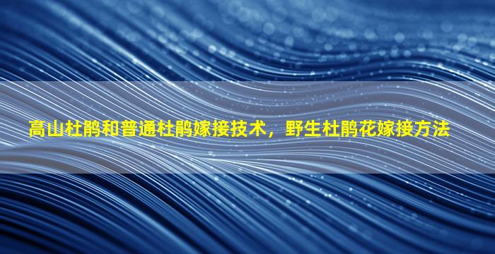 高山杜鹃和普通杜鹃嫁接技术，野生杜鹃花嫁接方法