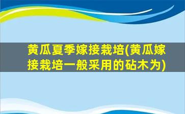 黄瓜夏季嫁接栽培(黄瓜嫁接栽培一般采用的砧木为)