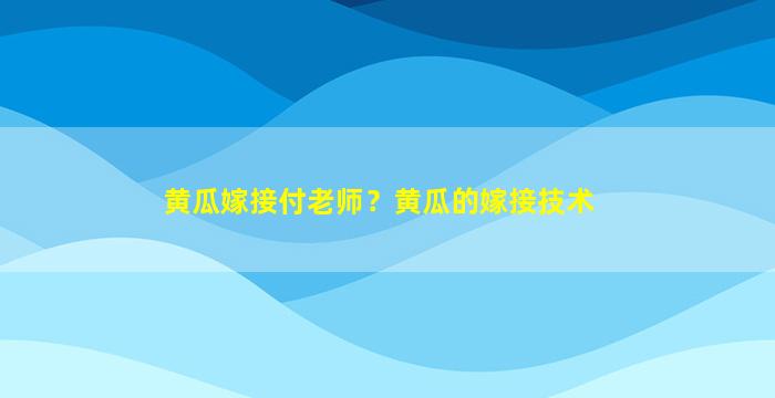 黄瓜嫁接付老师？黄瓜的嫁接技术