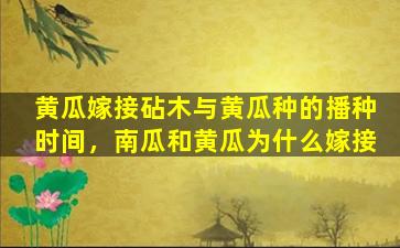 黄瓜嫁接砧木与黄瓜种的播种时间，南瓜和黄瓜为什么嫁接