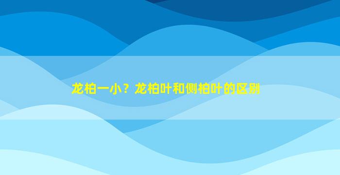 龙柏一小？龙柏叶和侧柏叶的区别