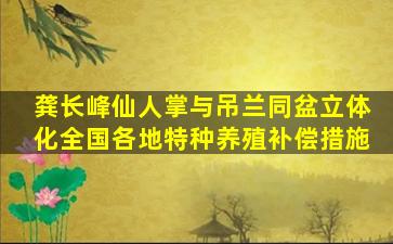 龚长峰仙人掌与吊兰同盆立体化全国各地特种养殖补偿措施